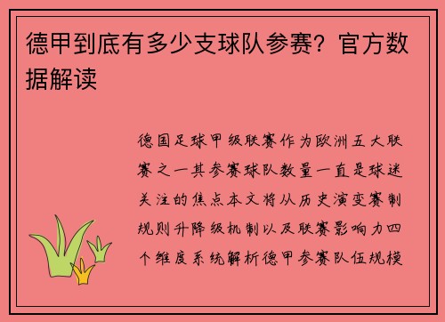 德甲到底有多少支球队参赛？官方数据解读