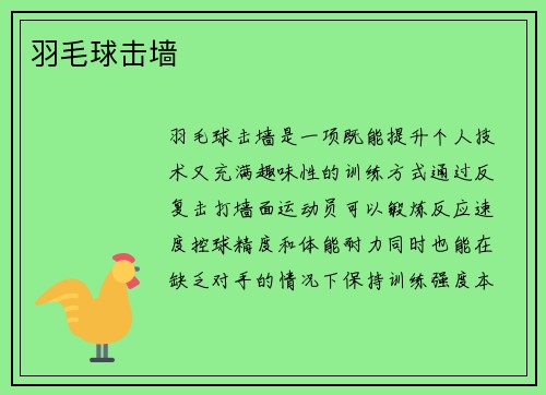 羽毛球击墙